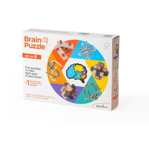 Hlavolam Brain Puzzle – RecentToys