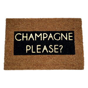 Rohožka z prírodného kokosového vlákna Artsy Doormats Champagne Glitter, 40 x 60 cm