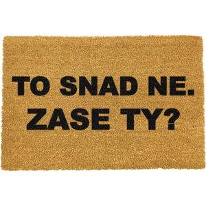 Rohožka z prírodného kokosového vlákna Artsy Doormats Zase ty?, 40 x 60 cm