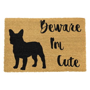 Rohožka z prírodného kokosového vlákna Artsy Doormats Cute French, 40 x 60 cm